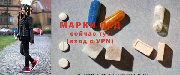ECSTASY Покачи
